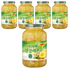 담터 아가베생강레몬차, 1kg, 1개입, 5개