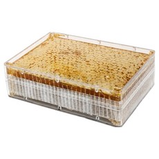 THEHAEDAM 野花蜂巢蜜, 500g, 1個