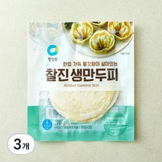 청정원 찰진 생만두피, 270g, 3개