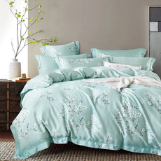 Prawear 巴麗維亞 40支100%萊賽爾天絲兩用被床包組