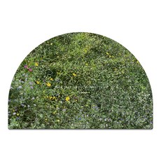 Haru Gonggan Today 軟式珪藻土腳踏墊, 1個, Today 花卉節日