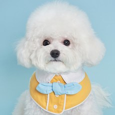 DOG-i 寵物頸部披肩, 黃色, 1個