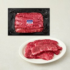 미국산 초이스 살치살 구이용 (냉장), 1kg, 1개