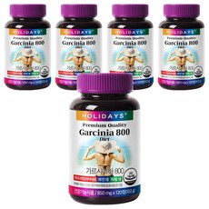 홀리데이즈 가르시니아 800, 120정, 5개