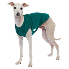 lucky petter 狗狗素色無袖衣, 綠色, 1個