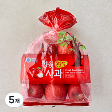 옹달샘 청송 사과, 5개, 1.5kg(소과 / 8~10입)