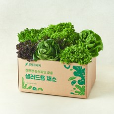 친환경 유러피안 모둠 샐러드용 채소, 1kg, 1개
