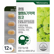 광동 혈행&기억력 징코, 60정, 12개