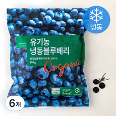 딜라잇가든 유기가공식품 인증 블루베리 (냉동), 500g, 6개