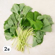 남해 머위, 150g, 2봉