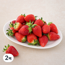 곰곰 타이벡 설향 딸기, 500g(중과), 2팩