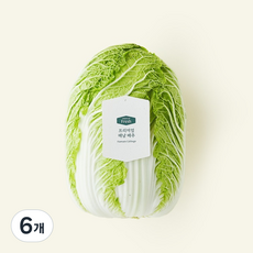 프리미엄 해남 배추, 2kg, 1개입, 6개