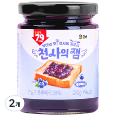 설탕없는과자공장 저칼로리 천사의 잼 블루베리, 240g, 2개