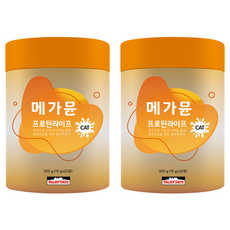 파미데이즈 고양이 메가뮨 프로틴 라이프 영양제, 장건강/유산균, 300g, 2세트