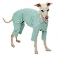 LuckyPetter 狗狗粉彩睡衣連身衣 義大利灰狗衣服, 薄荷色