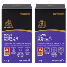 정관장지니펫 강아지 더케어 영양제, 2개, 뼈/관절강화, 60정