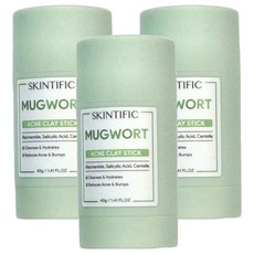 SKINTIFIC 艾草淨化毛孔泥膜棒 40g, 1入, 3組