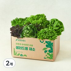 친환경 유러피안 모둠 샐러드용 채소, 1kg, 2개
