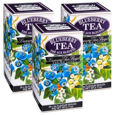 믈레즈나 블루베리향 홍차, 2g, 30개입, 3개