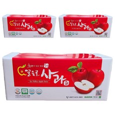 햇빛식품 밀양 얼음골 사과즙, 110ml, 90개