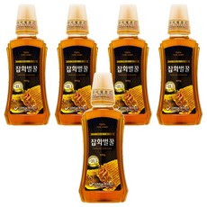 고려인삼 잡화벌꿀, 500g, 5개