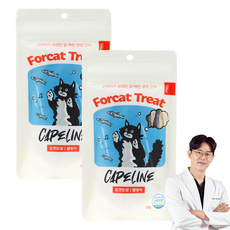 닥터펠리스 포캣트릿 동결건조간식, 열빙어, 25g, 2개