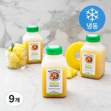 나탈리스 오렌지 파인애플 착즙 주스 (냉동), 250ml, 9개