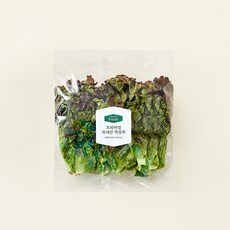 프리미엄 국내산 적상추, 120g, 1개