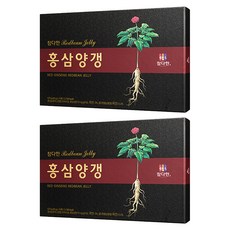 Chamdahan 參多韓 紅蔘羊羹 15入, 675g, 2個