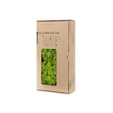 SCANDIAMOSS 苔蘚 RM500 春綠色 500g, 1個