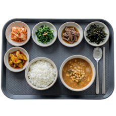 미니모 국산 고강도 컬러 쟁반 트레이, 스페이스그레이, 1개