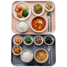 미니모 고강도 컬러 쟁반 트레이 2종 세트, 다크피치, 스페이스그레이, 1세트