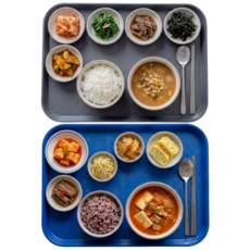 미니모 고강도 컬러 쟁반 트레이 2종 세트, 아마존블루, 스페이스그레이, 1세트