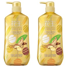 Kao 花王 植萃弱酸洗髮精 滋養健髮型 三大漢方精華 活絡頭皮 溫和綿密泡泡 深層清潔 清新草本香氣 放鬆身心, 750ml, 2瓶