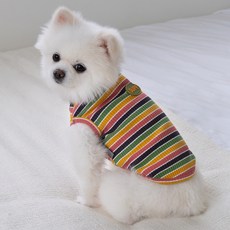 DOG-i 狗狗彩虹T恤, 1個, 卡其棕