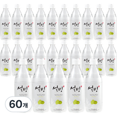 설빙 탄산음료 샤인머스캣, 500ml, 60개