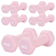 리브스포 논슬립 아령, 1kg, 10개