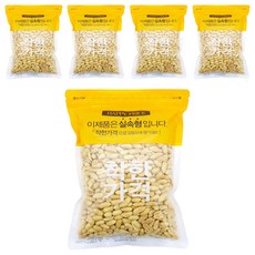 견과공장 중국산 햇 튀김땅콩, 800g, 5개