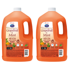 葡萄柚薄荷環保洗碗精, 3L, 2個