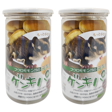 Canary 美麗果蜜袋鼯果粒麵包 M-S196 蔓越莓, 100g, 2罐