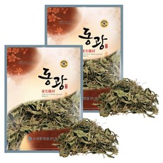 동광한방몰 포공영 민들레잎, 600g, 2개
