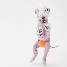 퍼피드림 강아지 중대형견 롱바디 고탄력 우주복 00110, 퍼플, 1개