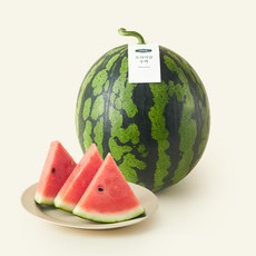 온브릭스 주식회사 농업회사법인 프리미엄 수박, 1개, 5kg이상