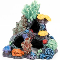 年輕的 Aqua 珊瑚島水族館裝飾品佈局 1831 年, 1組