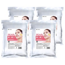 린제이 프리미엄 진주 모델링팩 1kg, 1개입, 4개