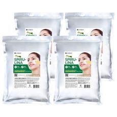 린제이 프리미엄 스피룰리나 모델링팩 1kg, 4개, 1개입