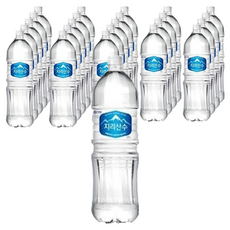 지리산수 아워홈 블루, 24개, 2L