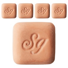 Sanguine 陶土珠寶夾 陶瓷車用芳香劑補充包, 1入, 5個