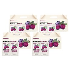 참앤들황토농원 자연을 담은 맛있는 레드비트즙, 2.4L, 4개