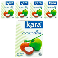 kara 佳樂 SANTAN KELAPA-MURNI 佳樂濃縮椰漿, 200ml, 5入